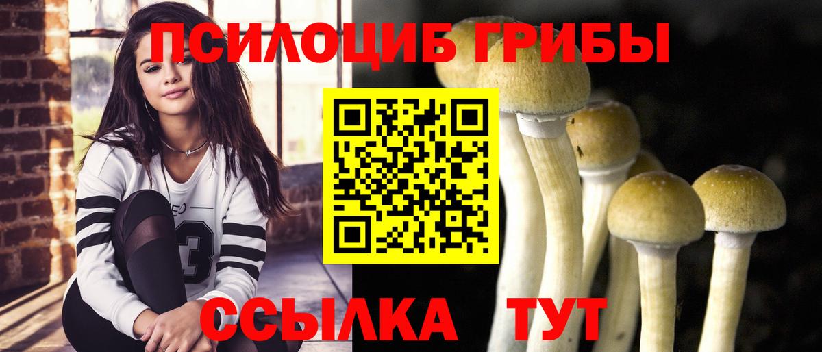 Галлюциногенные грибы Magic Shrooms  Псилоцибиновые грибы мухоморы  Вход с VPN  Сосновый Бор 